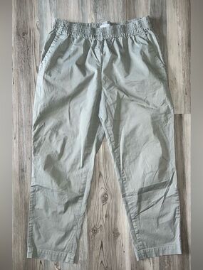 Women’s Everlane Light Green Elastic Waist Easy Chino Pull On Pants 12